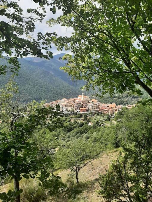 Maison Boheme Vesubie La Bollene-Vesubie Luaran gambar